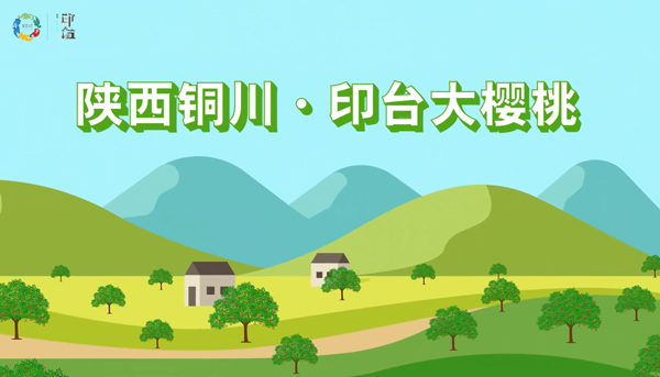 印台大樱桃MG动画